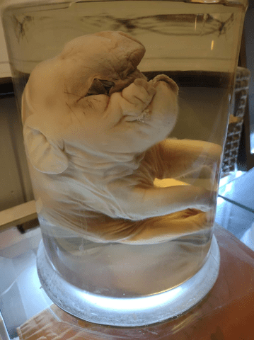 1203137001117732.GkZWY38HtWhpVxQzSswa_height640 The Stephenson Building