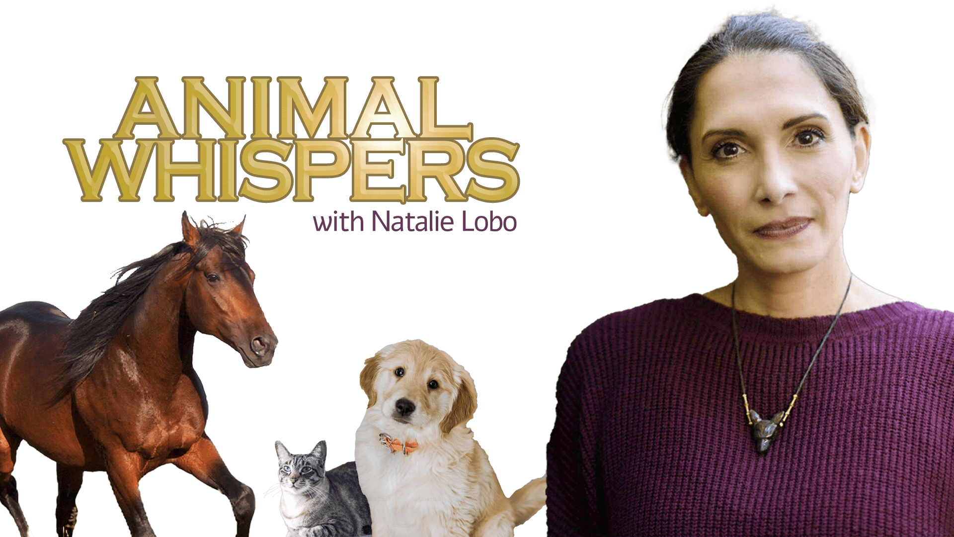 animal-whispers-foreground