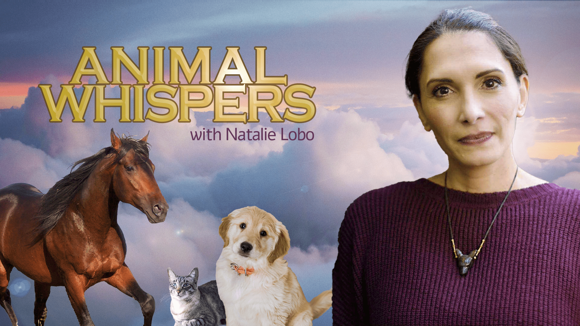 Animal Whispers